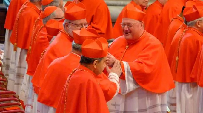 Cardenales_AlanHoldrenACIPrensa_050116.jpg ?? 