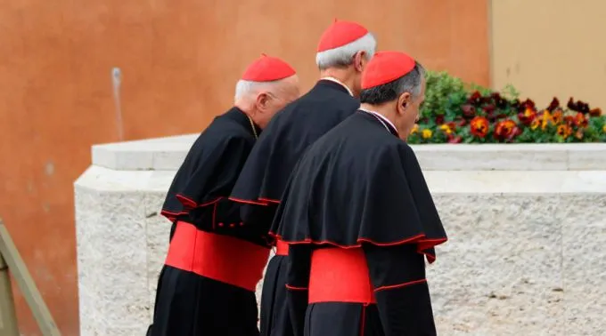 Cardenales_InterMirifica.net.jpg ?? 