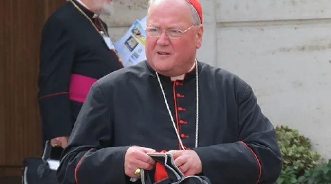 Cardinal_Timothy_Dolan_Credit_Alan_Holdren_CNA_2_CNA500x320_Vatican_Catholic_News_10_23_12.jpg ?? 