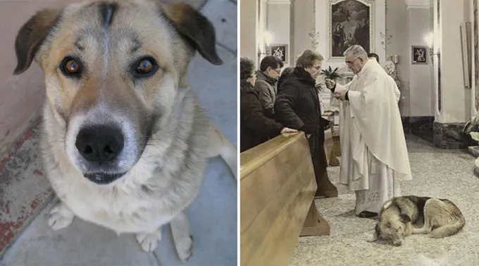 CiccioMISA_FacebookMariaLochi_190717.jpg ?? 