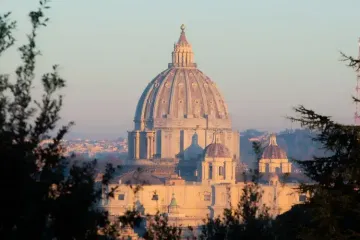 Cupula-San-Pedro-Vaticano-Daniel-Ibanez-ACIPrensa-15032021.webp
