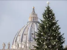 A cúpula da basíica de São Pedro e a árvore de Natal do Vaticano