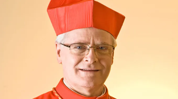 D._ODILO_SCHERER.jpg ?? 