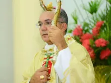 Dom Vítor Agnaldo de Menezes 