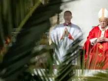 Papa Francisco na missa de Domingo de Ramos.