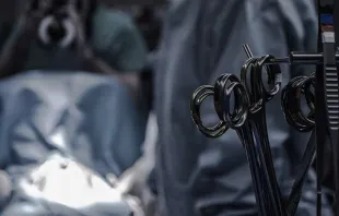 Imagem referencial. Crédito: Unsplash