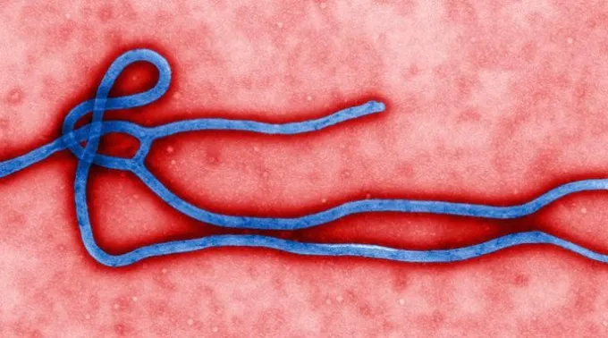 Ebola_FlickrTheGlobalPanorama.jpg ?? 