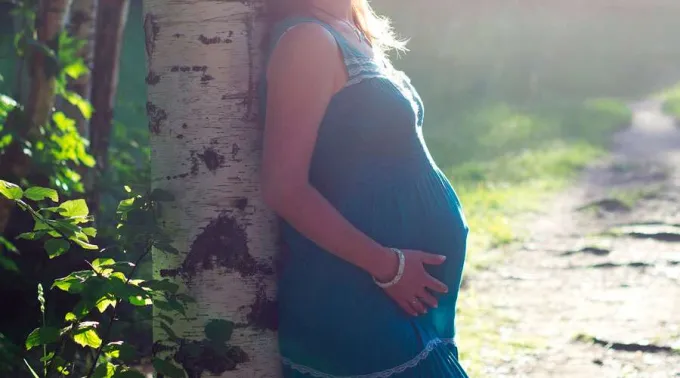 Embarazada-Pixabay-14062020.jpg ?? 