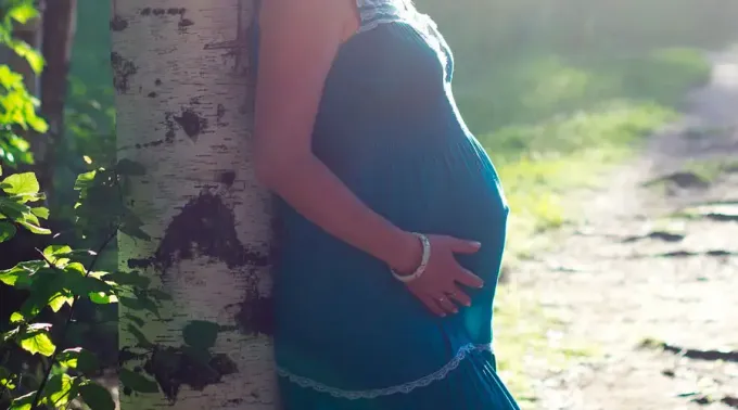 Embarazada-Pixabay-27092021.webp ?? 