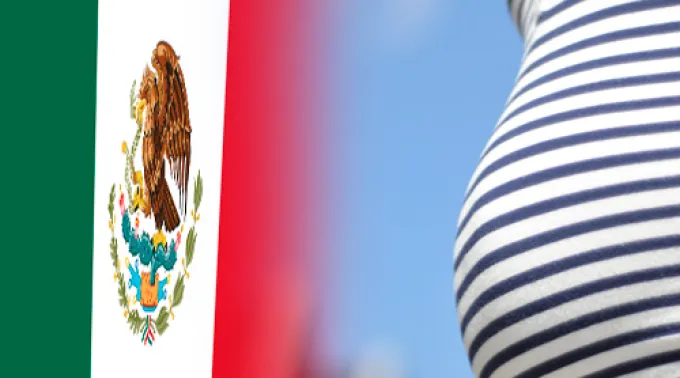 Embarazo_AutorFrankDeKleine_CC-BY-2.0.jpg ?? 