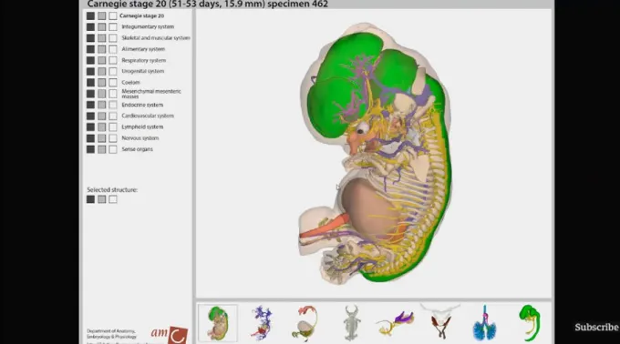EmbrinHumano_Science_281116.jpg ?? 