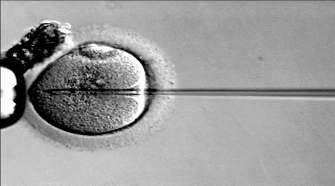 FecundacionInVitro_Wikipedia_DominioPublico.jpg ?? 