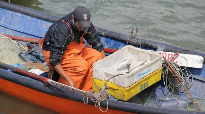 FotoReferencial_Autor_RolandoCisternas_PixabayDominioPublico080616_2.jpg ?? 