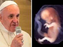 Papa Francisco: ACI Prensa