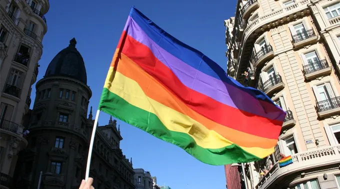 GayFlag_WikimediaCommons_261118.jpg ?? 