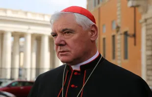 Cardeal Gerhard Müller.