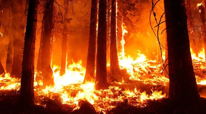 Incendio-pixabay-18112018.jpg ?? 