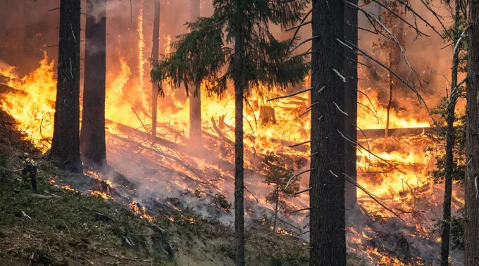 IncendioFlorestal_-_FotoPixabay.jpg ?? 