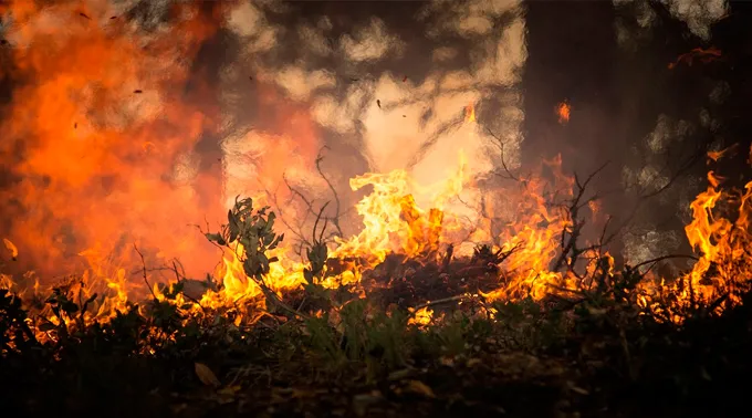 Incendio_florestal_-_Pixabay.jpg ?? 