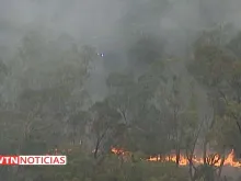 Incêndios florestais na Austrália. Créditos: EWTN Noticias