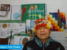 José Gregorio Dìaz Mirabal.