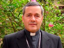 Dom Juan Barros, Bispo de Osorno (Chile). Foto iglesia.cl
