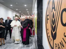 Papa Francisco na sede da FAO.