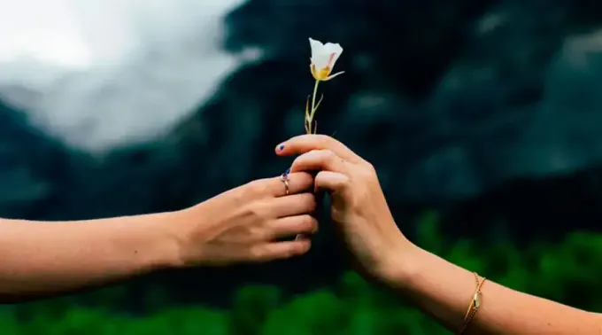 Manos_-Pixabay-Dominio-Publico-27102021_1.webp ?? 