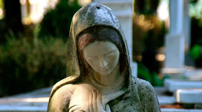 Mara_Pixabay_111217.jpg ?? 