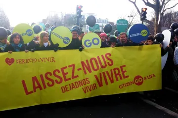 MarchaVidaParis2015HazteOir.jpg