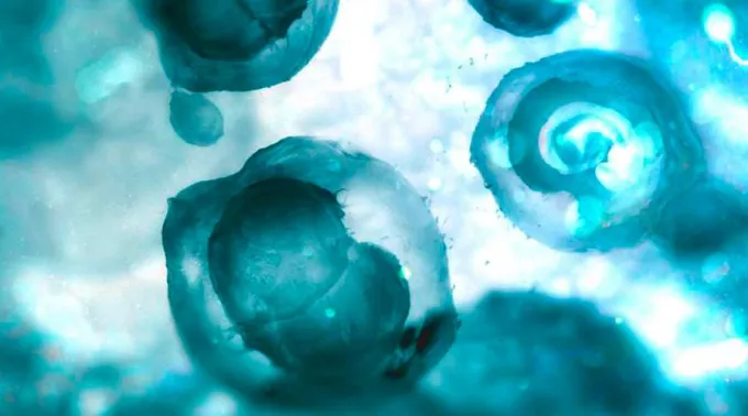 ModificacionEmbrionesHumanos_AndriiVodolazhskyi_200718.jpg ?? 