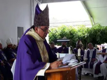 Dom José Domingo Ulloa, Arcebispo do Panamá 