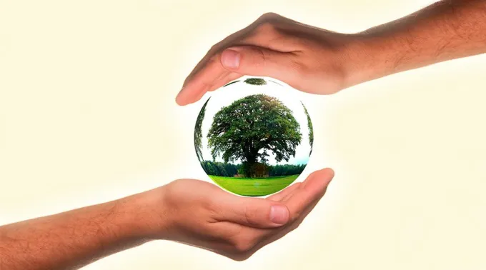 MundoManos_PixabayDominioPublico_030715.jpg ?? 