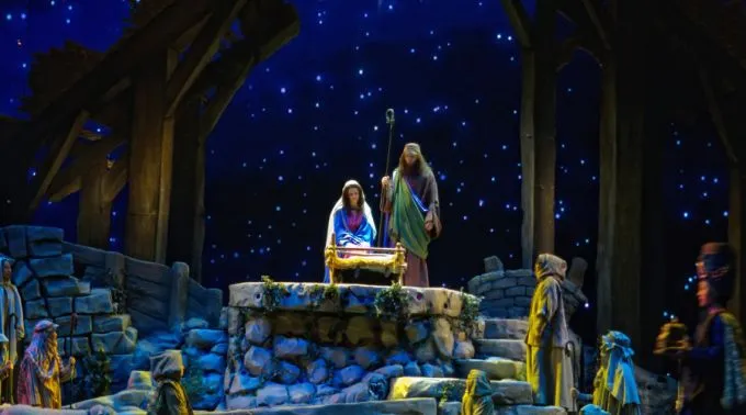 NacimientoVivo_FlickrRalphDaily_CC-BY-2.0.jpg ?? 