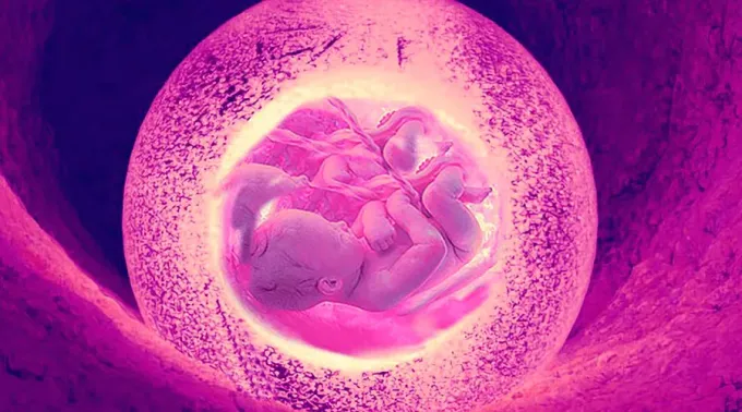 NoNacido-Pixabay-25062021.jpg ?? 