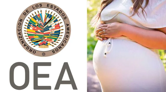 OEA-Mujer-embarazada-Facebook-OEA-Pixabay-260619.jpg ?? 