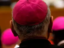 Imagem ilustrativa. Crédito: Daniel Ibáñez (ACI)