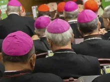 Foto de bispos e cardeais. Crédito: Daniel Ibáñez (ACI)