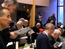 Bispos da França se reúnem em assembleia em Lourdes