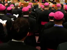 Bispos reunidos na sala do Sínodo do Vaticano. Crédito: Daniel Ibañez