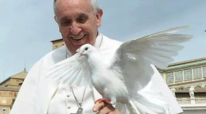 PAPA_PALOMA_SAN_PEDRO_PAZ.jpg ?? 