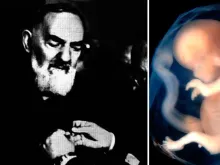 Padre Pio - Embrião humano