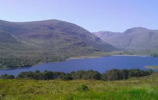 Foto referencial. PIxabay dominio público