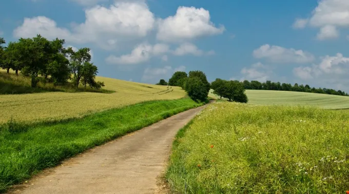 PaisajeCreacion_PixabayDominioPublico_310815.jpg ?? 