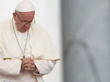 Papa Francisco. Crédito: Daniel Ibáñez (ACI)