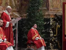 Papa Francisco pronuncia sua homilia.