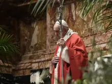 Papa Francisco no Domingo de Ramos.