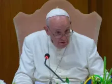 Papa Francisco na Aula Sinodal. Captura Youtube.