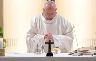 Papa durante a Missa.