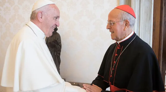 PapaFranciscoCardenalRicardoBlazquez-CEE-29082018.jpg ?? 